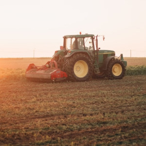 Владимирские фермы могут получить субсидию за восстановление брошенных полей
