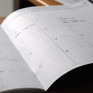 Во Владимирской области школьники смогут заработать на оценках