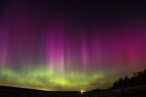 Полярное сияние озарило небо над Владимирской областью