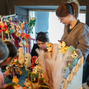 Во Владимире «Новые люди» предложили ввести для женщин-предпринимателей «налоговый декрет»