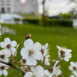 Евтихий Тихий да Ерема Пролетный: что можно и нельзя делать 19 апреля