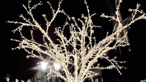 В Коврове сломали световые инсталляции и сухой фонтан