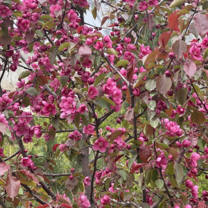 Прогноз погоды во Владимирской области на 23 мая 2025 года