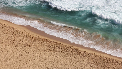 Шри-Ланка начала оформлять бесплатные визы для граждан России и еще 6 стран 