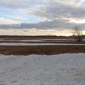 Синоптики пообещали 8-градусное тепло во Владимирской области