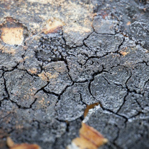 Чиновники из Суздаля попали под суд из-за ям на дорогах в 3 селах