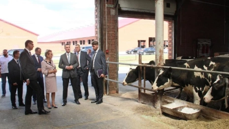 Владимирскую область посетил министр сельского хозяйства 