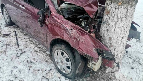 Водитель Lifan врезался в дерево в центре Коврова: пострадал ребенок