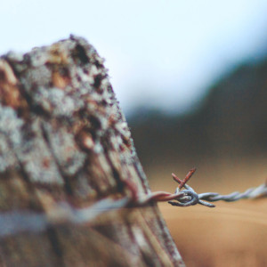 Во Владимирской области запретили въезд в леса из-за пожаров