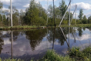 Гибель рыбы в озере Федоровское под Киржачом привела к уголовному делу