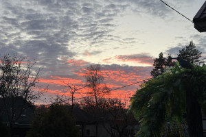 Угроза атаки БПЛА объявлена во Владимирской области