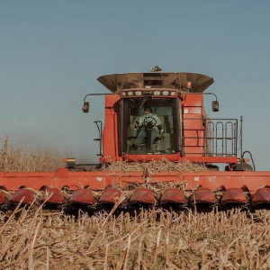 Аграриям Владимирской области дадут краткосрочные займы по ставке 5%