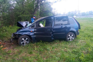 Во Владимирской области иномарка снесла отбойник и врезалась в дерево на трассе М-7