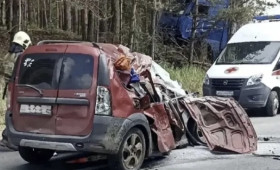 Владимирские медики погибли в жутком ДТП в Нижегородской области