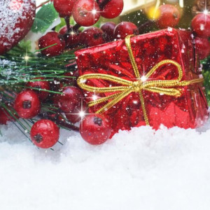 Прогноз погоды во Владимире и области на Рождество-2026