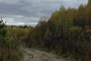 Прогноз погоды во Владимирской области на 3 октября 2025 года