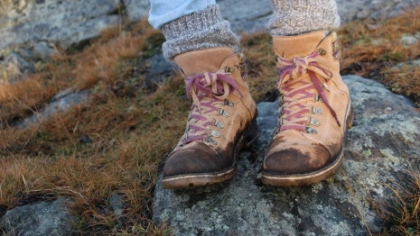 Во Владимирской области закрыли поиски пропавшей в феврале женщины