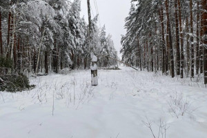 «Фрэнсис» оставил без света 32 населенных пункта Владимирской области
