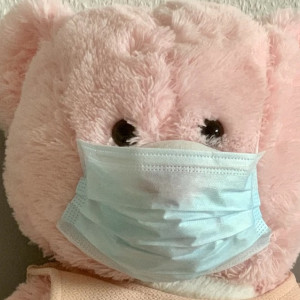 Санврачи назвали 10 районов с ковидом во Владимирской области