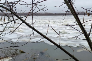 Следком начал проверку из-за утонувшего в Оке в Муроме 28-летнего мужчины
