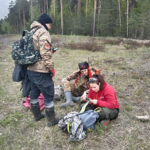 Во Владимирской области в мае нашли мертвыми 8 человек