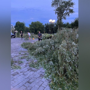 Последствия урагана во Владимире устраняли 30 человек