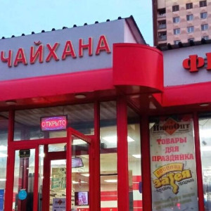 Жители Владимира сообщили о нашествии крыс у популярного кафе 