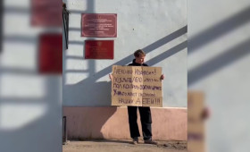 Отец умерших в Красном кресте двойняшек вышел на пикет во Владимире