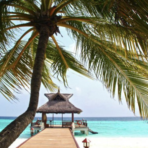 Во Владимирской области сертификаты на отдых получат 3,5 тыс. малоимущих семей