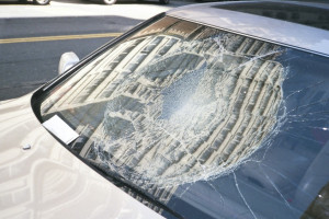 Автомобилист из Кольчугино отсудил 144 тыс. рублей у мэрии за упавшее на машину дерево