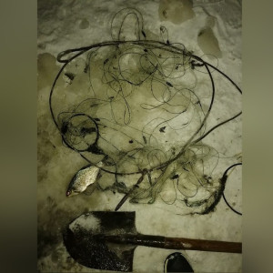 Во Владимирской области браконьер поставил сети в природном заповеднике