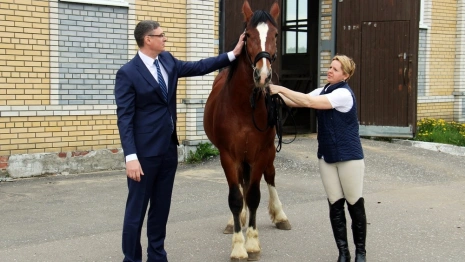 Стало известно, зачем владимирский губернатор подарил коня президенту Беларуси