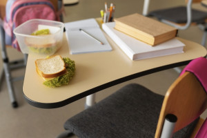 В двух сельских школах и детсаду Суздальского района нашли массу нарушений