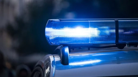 Депутат Госдумы предложил ужесточить закон после нападения «мажоров» на ДПС во Владимире