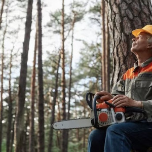 Во Владимире пилившие деревья рабочие начали угрожать прохожей с ребенком