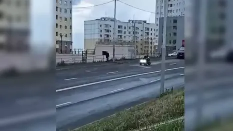 Двое детей проехались по дорогам Владимира на квадроцикле