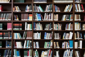 Во Владимирской области открыли сбор книг для сельской библиотеки