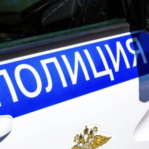 Жительницу Суздаля будут судить за избиение полицейского