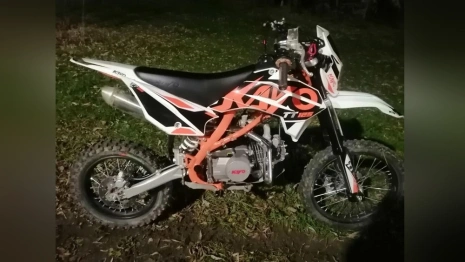 Во Владимирской области дети на скутере попали в ДТП из-за собаки