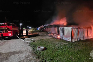 В Гусь-Хрустальном пожар унес жизни отца и сына