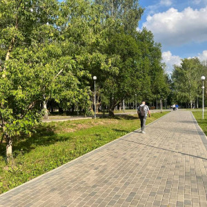 Во Владимирской области первые выходные сентября закончатся 26-градусным теплом