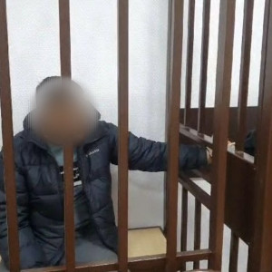 Одного из подозреваемых в хулиганстве депутатов Собинского района отправили в СИЗО