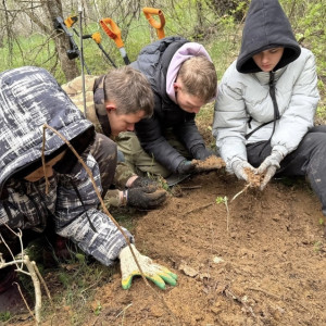 Владимирские поисковики обнаружили останки неизвестного солдата в Смоленской области