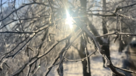 Синоптики напомнили владимирцам о потеплении в выходные