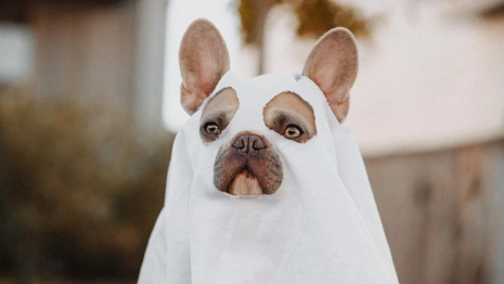 Мистическая пятница: что нельзя делать 13 января