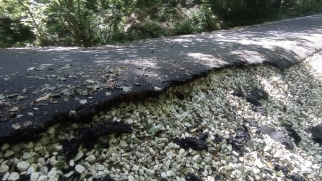 В Муроме чиновники закрыли глаза на срыв сроков благоустройства лыжероллерной трассы
