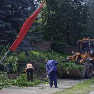 Упавшие на Князь-Владимирском кладбище деревья убрали