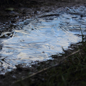 Осень вернется во Владимирскую область в конце недели
