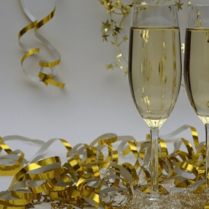 Депутат Госдумы от Владимирской области призвал отказаться от новогодних корпоративов