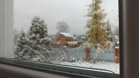 Синоптик рассказал, дойдет ли до Владимира «африканское тепло»